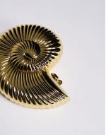 round ammonite shell clutch bag with crossbody chain strap in gold